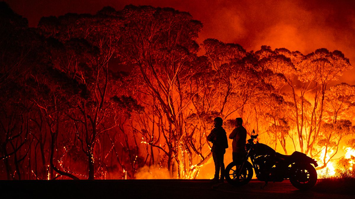 Reputable Bushfire Risk Assessment Firms Offer Tailored Management Plans